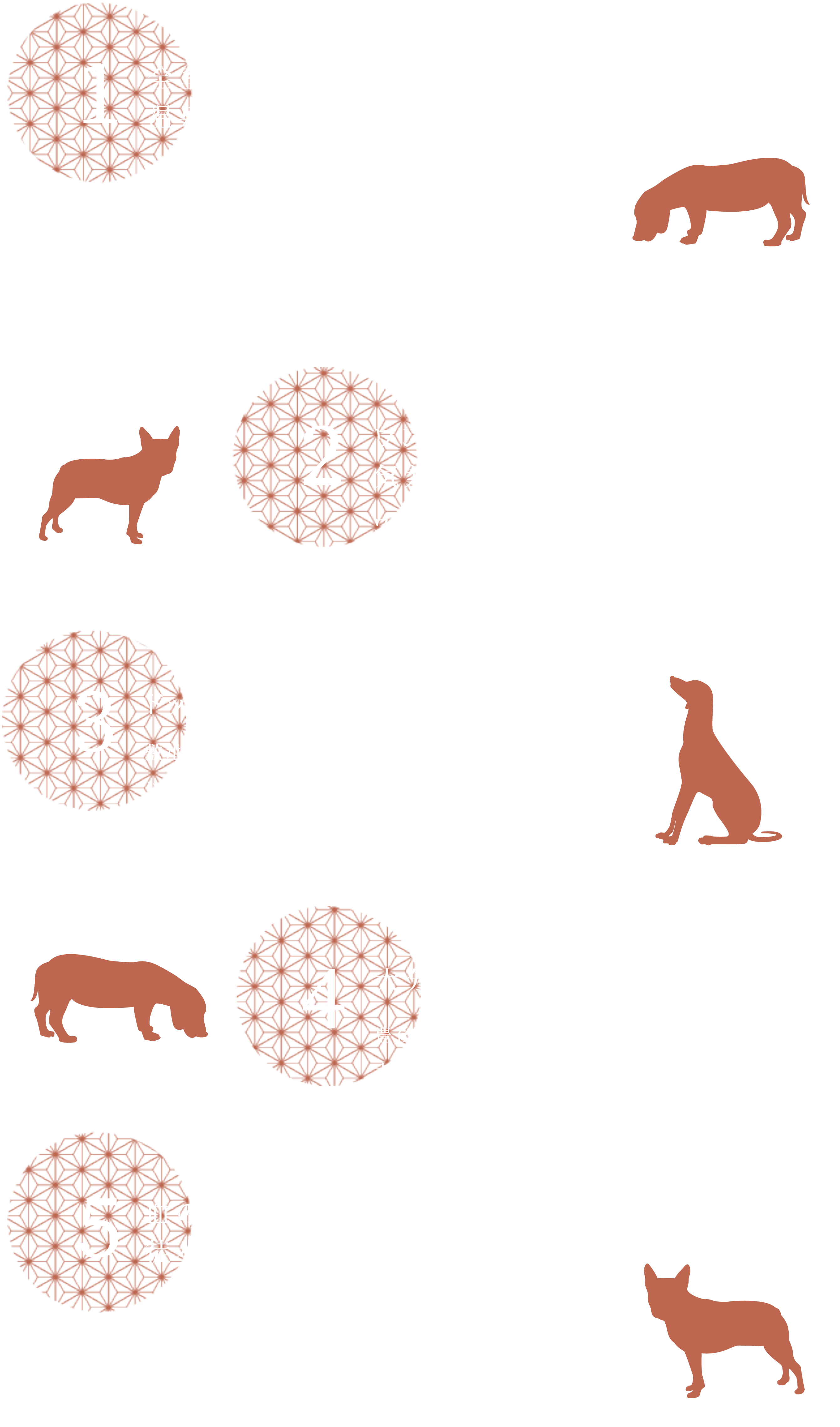 別府温泉 わんこの宿 ゆるり 宿泊予約 楽天トラベル 別府温泉 わんこの宿 ゆるり 宿泊予約 楽天トラベル